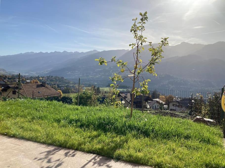 Casa Diaf Appartamento Incantevole Carano Ville Di Fiemme Exterior foto
